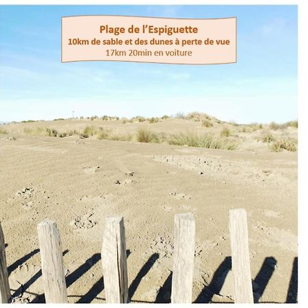 Suite Thalassa 1Ere Ligne Plages Du Couchant Wifi - Rossiconciergerie - Linge Inclus La Grande Motte Exteriör bild