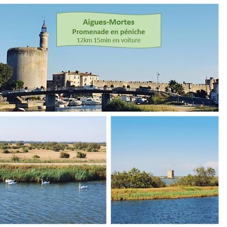 Suite Thalassa 1Ere Ligne Plages Du Couchant Wifi - Rossiconciergerie - Linge Inclus La Grande Motte Exteriör bild
