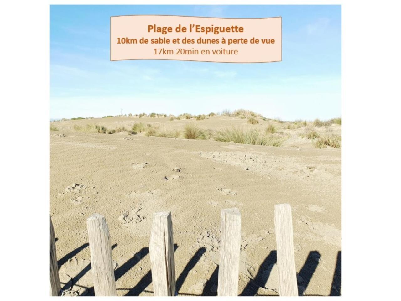 Suite Thalassa 1Ere Ligne Plages Du Couchant Wifi - Rossiconciergerie - Linge Inclus La Grande Motte Exteriör bild