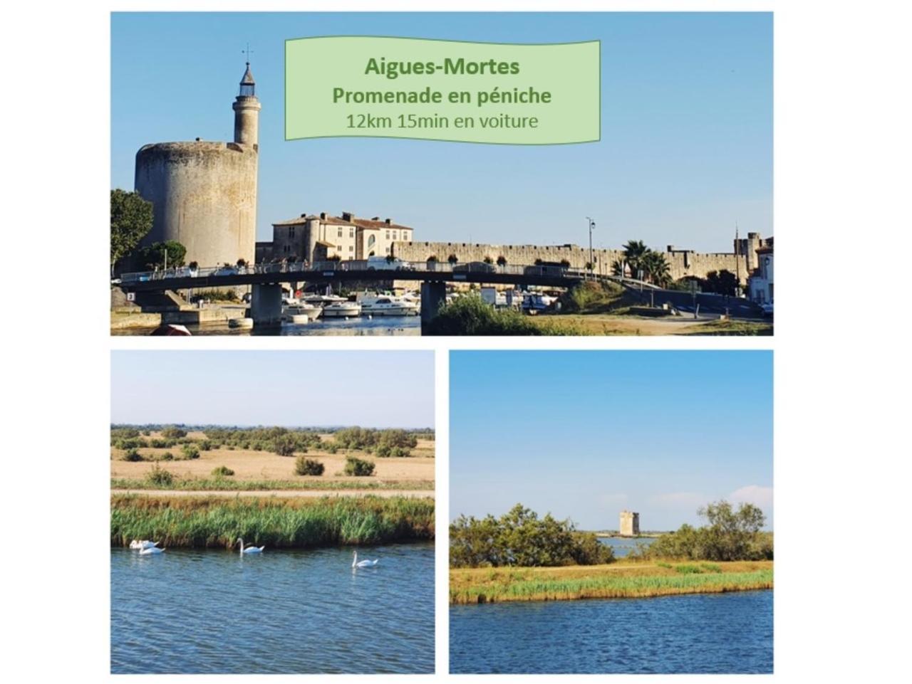 Suite Thalassa 1Ere Ligne Plages Du Couchant Wifi - Rossiconciergerie - Linge Inclus La Grande Motte Exteriör bild